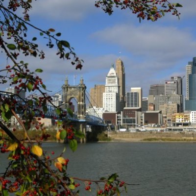 Cincinnati Skyline VII