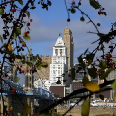 Cincinnati Skyline VIII