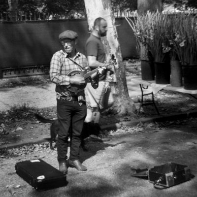 Mandolin Player, Brooklyn